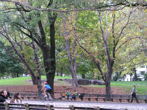 02-newyork-066