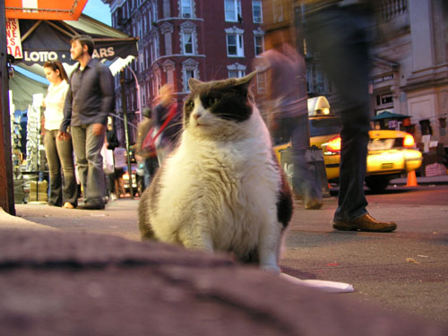 02-newyork-2-053