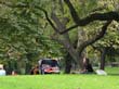 02-newyork-058