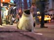 02-newyork-2-053
