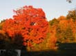 04-mystic-ma-347