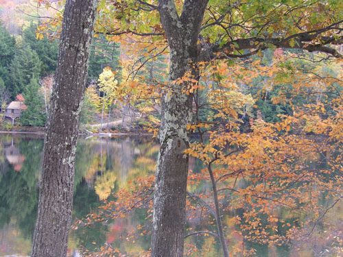 06-vermont-539