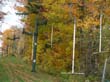 06-vermont-523