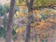 06-vermont-539