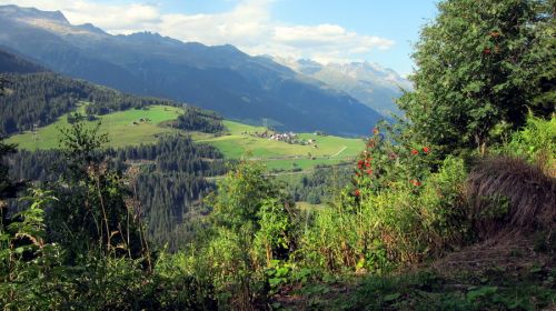 Klicken für Bild in voller Größe