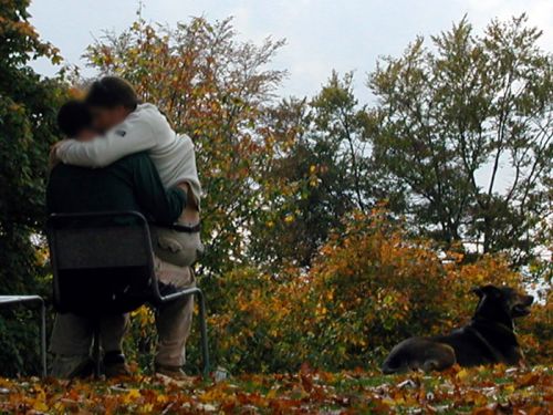 Klicken für Bild in voller Größe