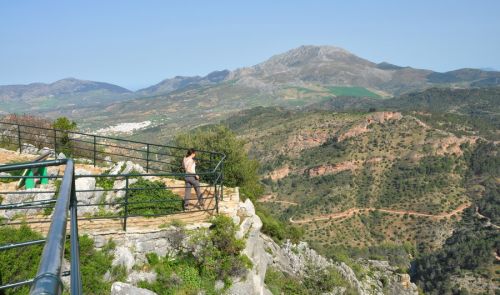 Klicken für Bild in voller Größe