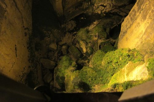 Klicken für Bild in voller Größe