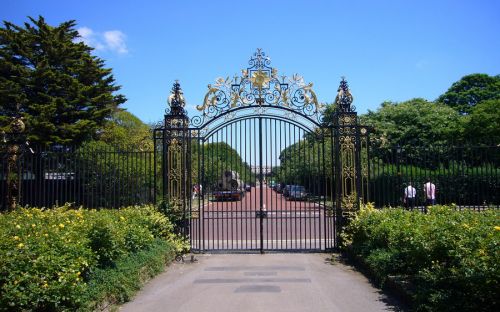 Klicken für Bild in voller Größe