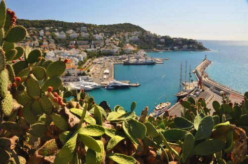 Klicken für Bild in voller Größe