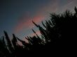 200508seillans-A7300399.jpg