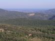 200508seillans-A7310426.jpg