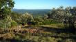 20080713-seillans-0492.jpg
