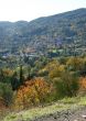 20081116-e-olivenernte-seillans-03740.jpg
