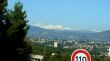 20081116-e-olivenernte-seillans-03755.jpg