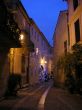 20081120-d-olivenernte-seillans-1508.jpg