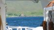 Dateiname=20070525-schottland-0177.jpg
Dateigröße=111KB
Abmessungen: 900x506
hinzugefügt am: 29. Mai 2007 20070525-schottland-0177.jpg