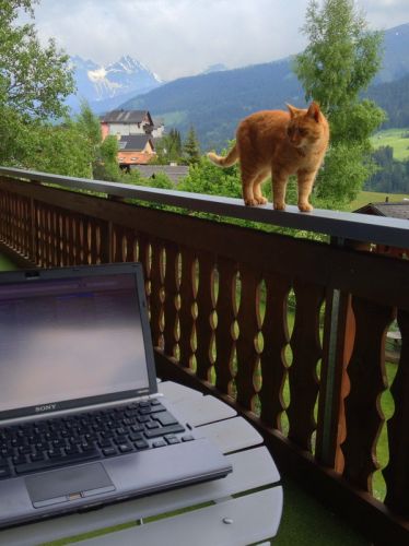 Klicken für Bild in voller Größe