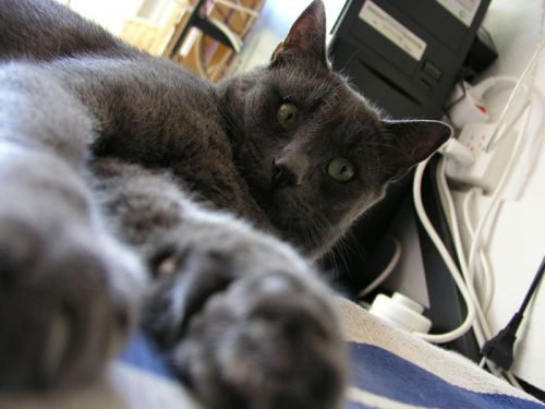 Klicken für Bild in voller Größe