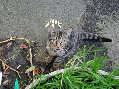 Klicken für Bild in voller Größe