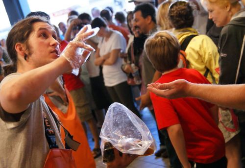 Klicken für Bild in voller Größe