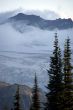 Dateiname=20080902-c-rainier-01410.jpg
Dateigröße=77KB
Abmessungen: 466x700
hinzugefügt am: 05. September 2008 20080902-c-rainier-01410.jpg