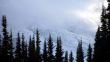 Dateiname=20080902-c-rainier-01439.jpg
Dateigröße=103KB
Abmessungen: 900x508
hinzugefügt am: 05. September 2008 20080902-c-rainier-01439.jpg