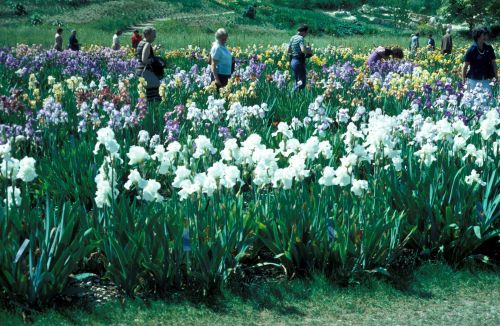 Klicken für Bild in voller Größe