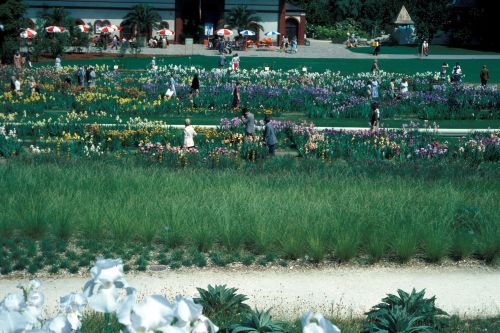 Klicken für Bild in voller Größe