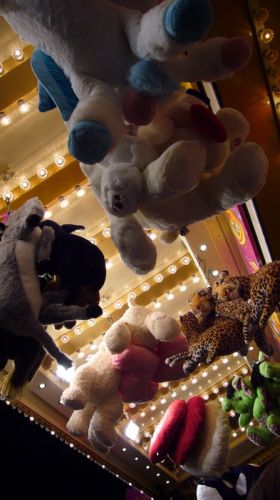 Klicken für Bild in voller Größe