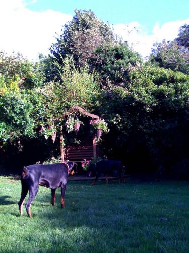 Klicken für Bild in voller Größe