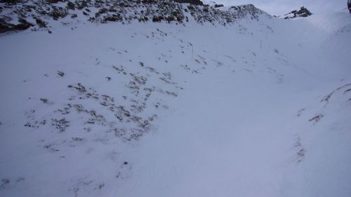 17. Februar 2007
