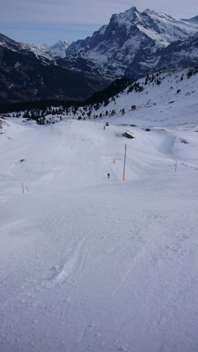 Distelboden
