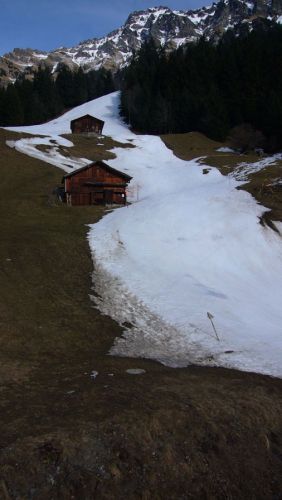 [url=http://www.jungfrau-zeitung.ch/artikel/?cq_*0b83d6de=ivxPU=87988crg]Kunstdünger[/url]-Überreste am Slalomhang
