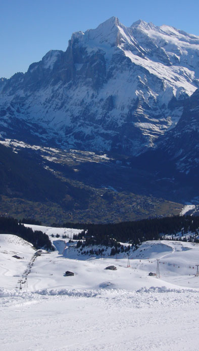Wetterhorn und das grüne Grindelwald
