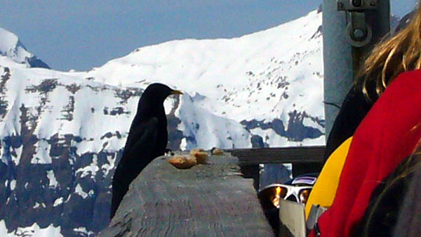 Besucher

