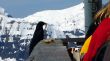 20070401-wengen-grindelwald-0875.jpg