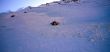 20071128-zermatt-00145.jpg