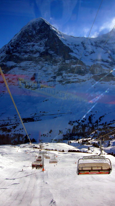15. Dezember 2007
