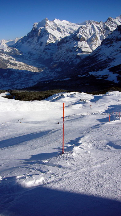 15. Dezember 2007
