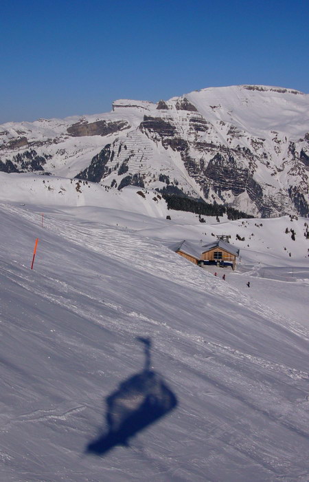 15. Dezember 2007
