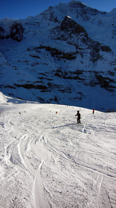 15. Dezember 2007

