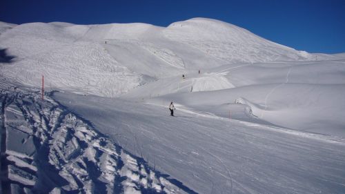 15. Dezember 2007
