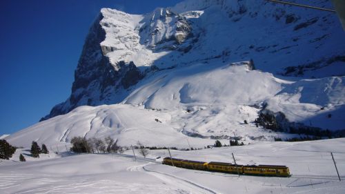 15. Dezember 2007
