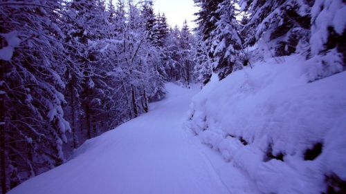 Da die SB Innerwengen zu ist, heissts Ziehweg nehmen
