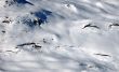 20071221-sedrun-0559.jpg