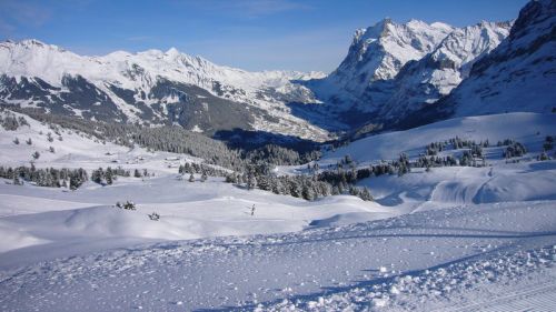 Flucht zum einsamen Salzegg-Lift!
