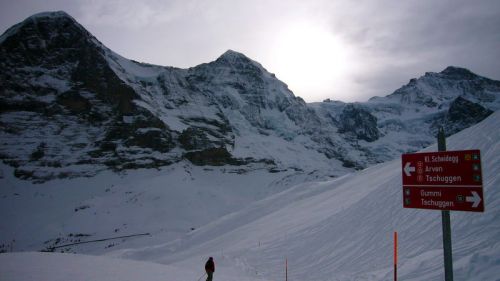 14. Januar 2008 - eine der wenigen grösseren Aufhellungen

