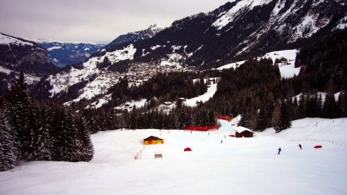 14. Januar 2008
