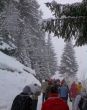 20080112-wengen-a-116.jpg